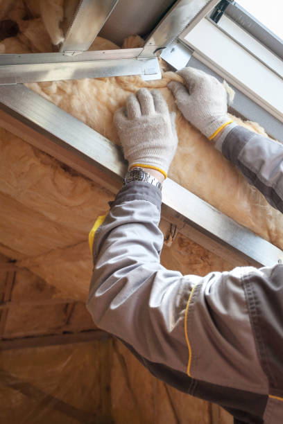 Best Insulation for Specific Applications in Lake Panasoffkee, FL